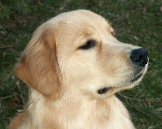 Tanner at 8 Months