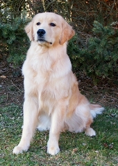 Tanner at 8 Months