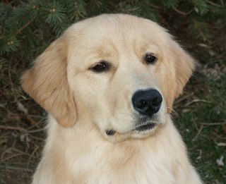 Tanner at 8 Months