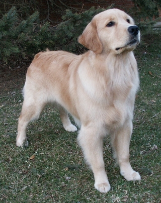 Tanner at 8 Months