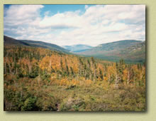 Hazel Creek - Smoky Mt. National Park