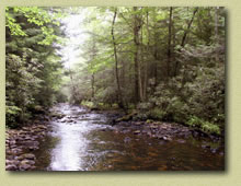 Stony Creek - Dauphin Co., PA