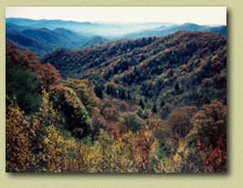 Deep Creek Valley - Smoky Mt. National Park